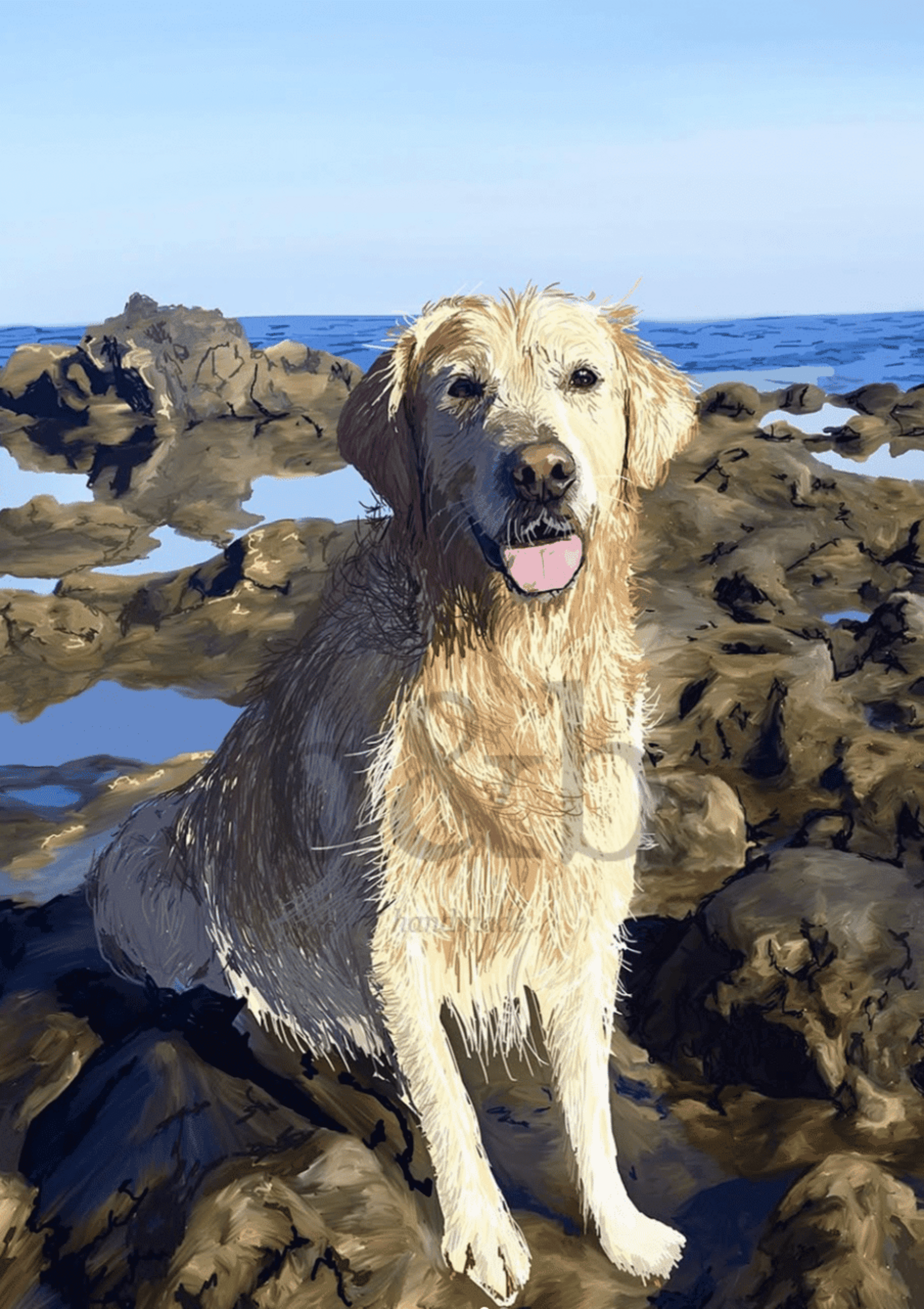 PERSONALIZADA MASCOTA - 3