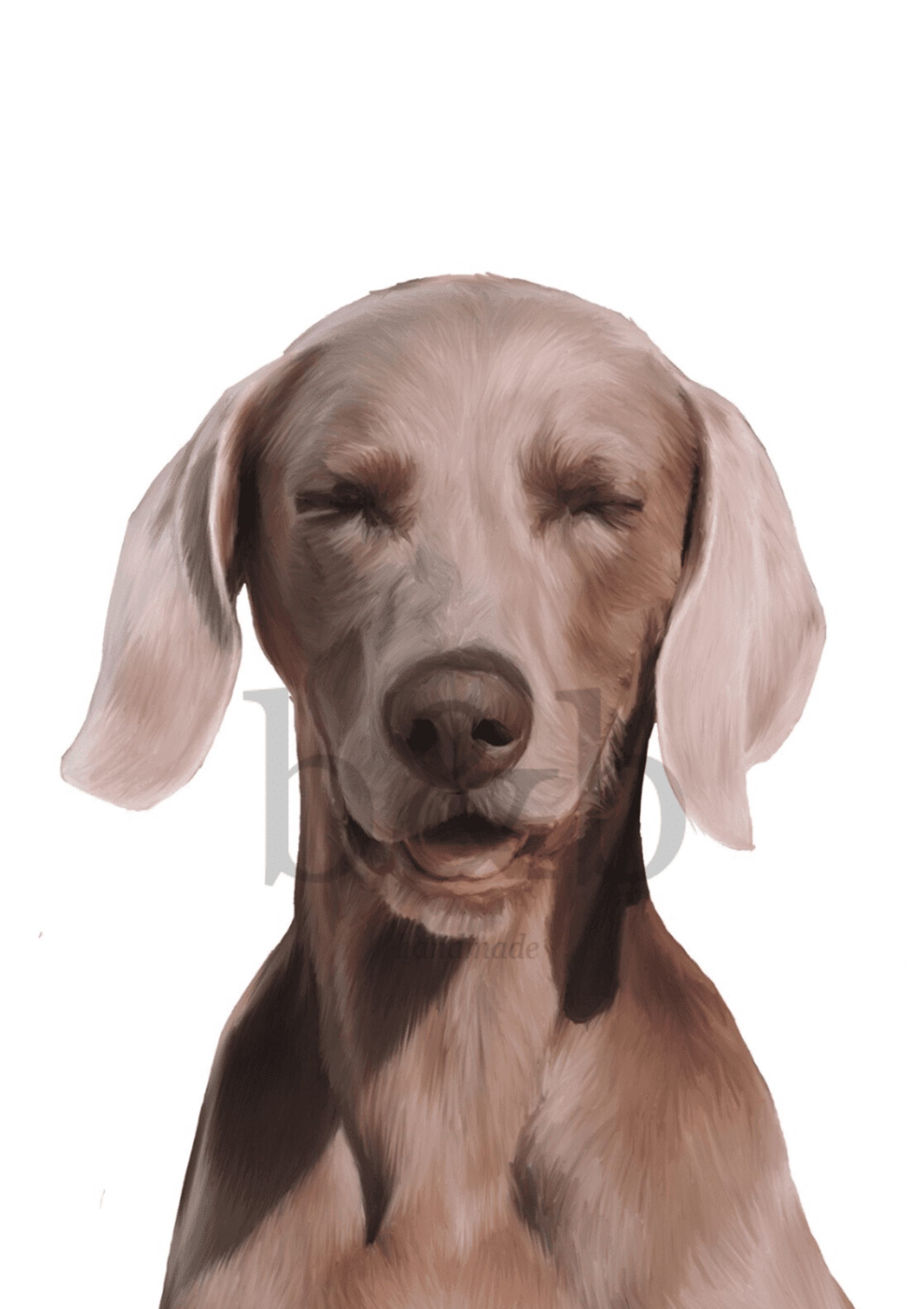 PERSONALIZADA MASCOTA - 4